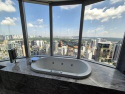 The Orchard Residences (D9), Apartment #478277081